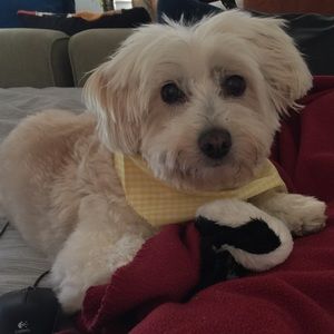 Meet your Posher, Jill